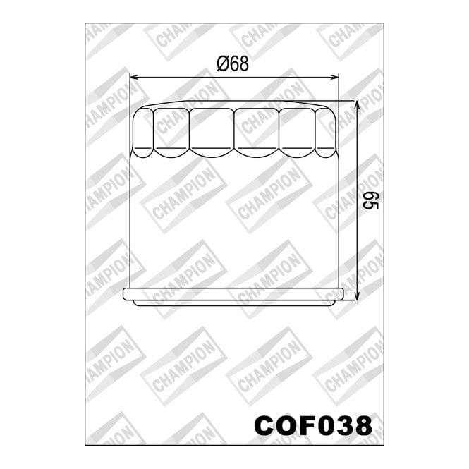 Champion Champion  Oil Filter COF038 (HF138)