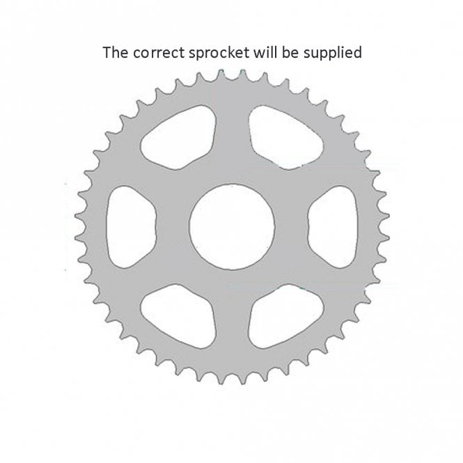 AFAM AFAM Sprocket Rear JTR 149-45 - Special Order